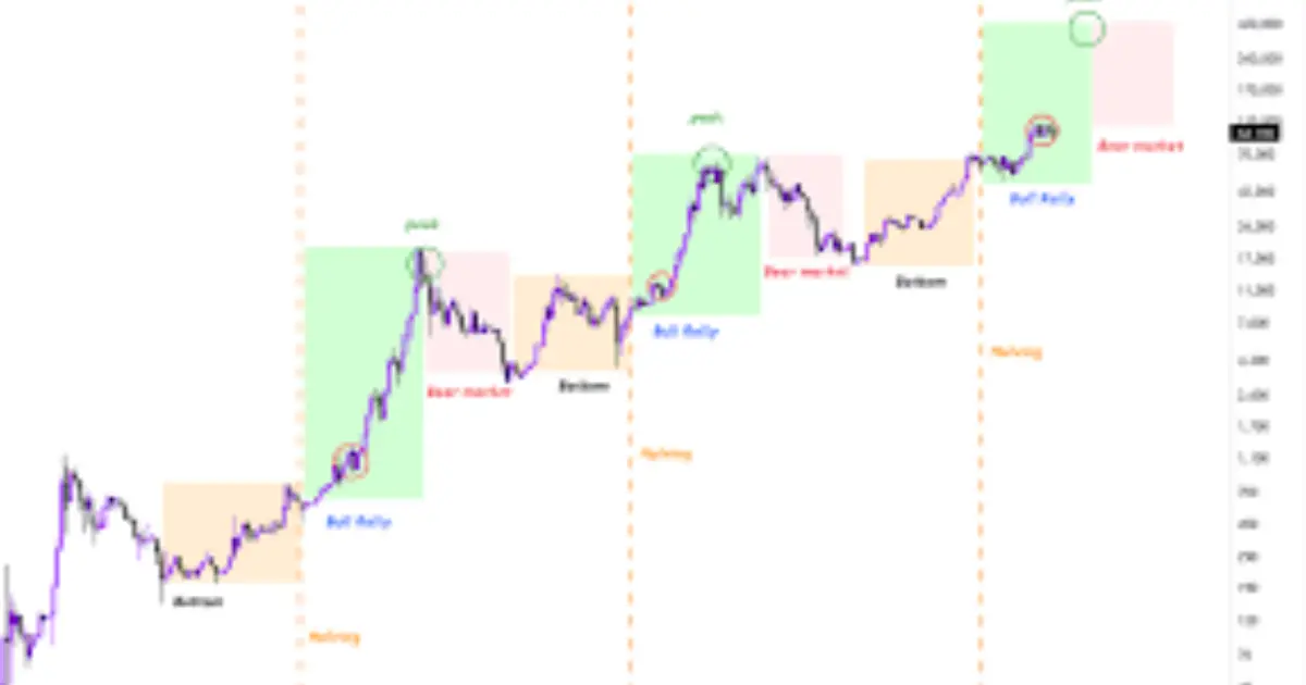 Understanding Bitcoin’s Market Cycles and Halving